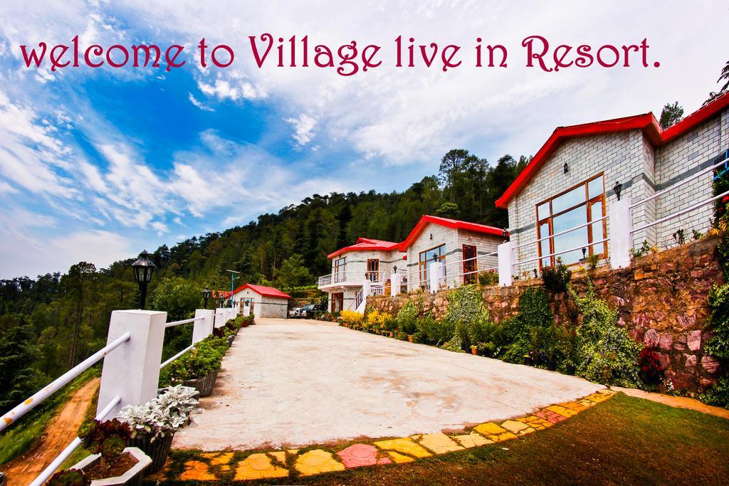 Village Live In Resort Chail Eksteriør billede